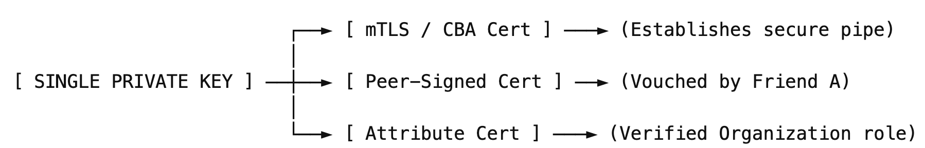 The Cryptographic Anchor: Multi-Attribute Key Reuse in Human Trust